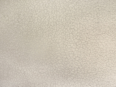 Обои Elysium Серия Каньон Е500301